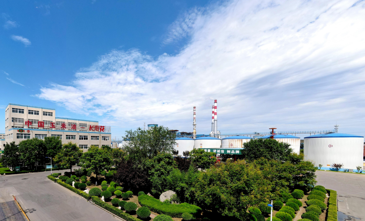 喜訊！長壽花食品獲評2022年度“最具品牌影響力”企業(yè)